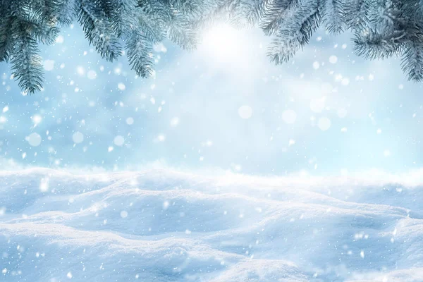 Kış kartı tasarımı. Güzel pofuduk kar ve dışarıda köknar ağacı