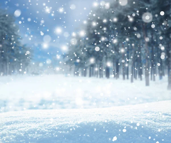 Mooie Pluizige Sneeuw Het Bos Winterseizoen — Stockfoto