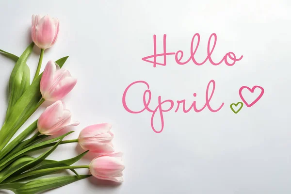 Hello Spring Beautiful Tulips White Background Top View — Stock Photo, Image