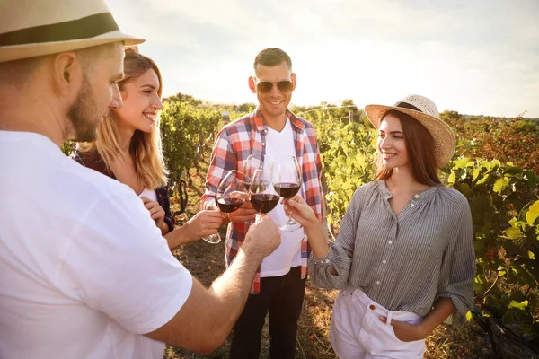 Amigos Clinking Copos Vinho Tinto Vinha Dia Ensolarado — Fotografia de Stock