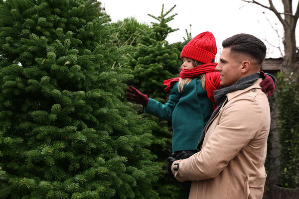Father and daughter choosing plants at Christmas tree farm. Space for text