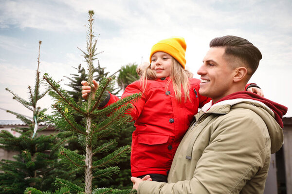 Father and daughter choosing plants at Christmas tree farm