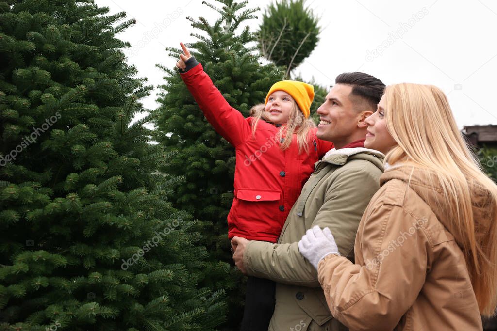 Family choosing plants at Christmas tree farm. Space for text