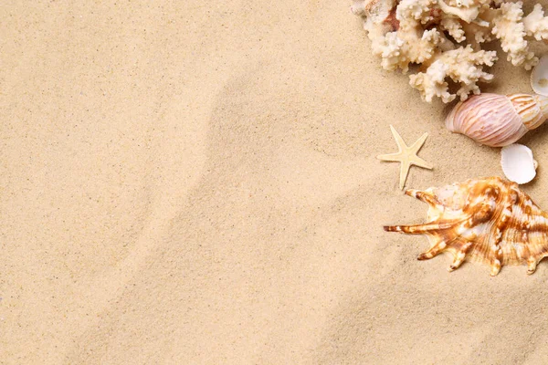 Belle Conchiglie Corallo Stelle Marine Sulla Sabbia Della Spiaggia Piatta — Foto Stock