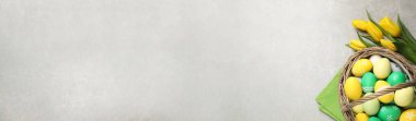 Renkli Paskalya yumurtaları ve gri arka planda laleleri olan düz kompozisyon, metin için boşluk. Yatay pankart tasarımı