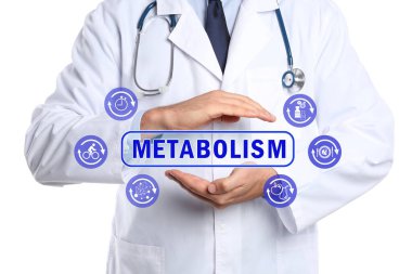 Metabolizma konsepti. Beyaz arka planda steteskobu olan doktor, yakın plan.