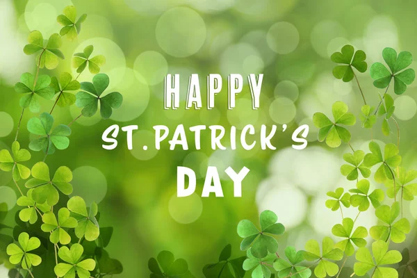 Happy Patrick Day Clover Leaves Green Background Bokeh Effect — Stock Photo, Image