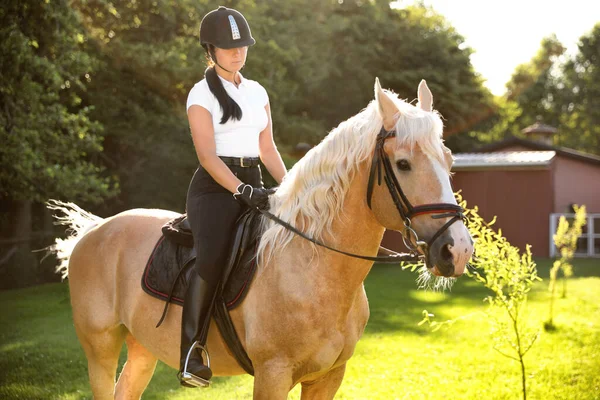 阳光明媚的日子 身穿骑马服的年轻女子在户外骑马 漂亮的宠物 — 图库照片