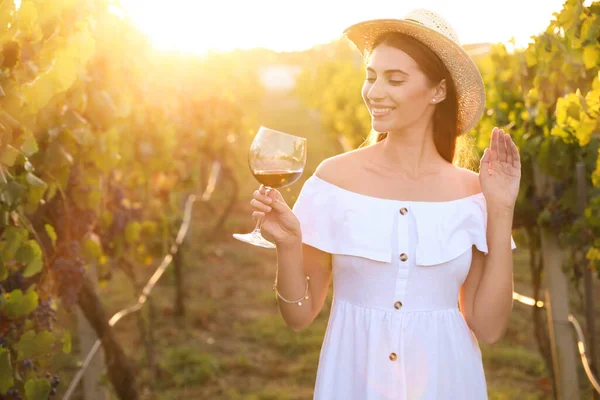 Belle Jeune Femme Avec Verre Vin Dans Vignoble Par Une — Photo