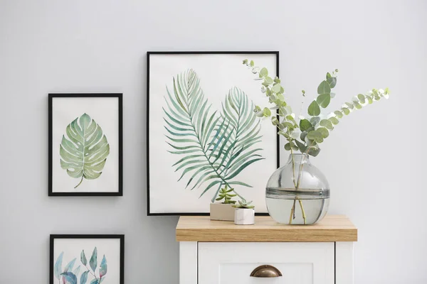 Vase Mit Frischen Eukalyptuszweigen Auf Dem Schrank Zimmer Innenarchitektur — Stockfoto