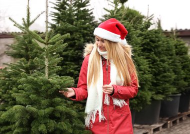 Noel ağacı pazarında bitki seçen bir kadın