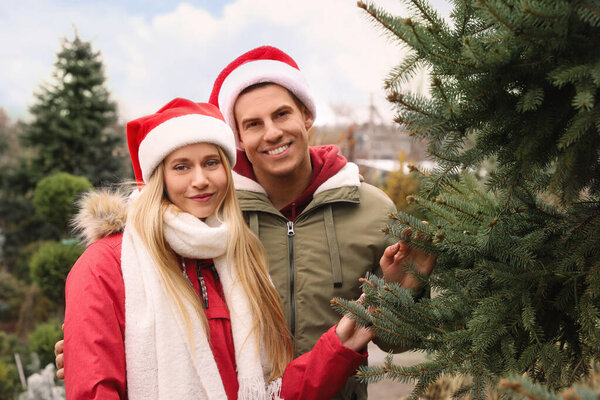Couple choosing Christmas tree at market outdoors