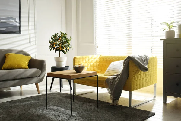 Elegante Salón Con Sofás Diseño Interiores Colores Gris Amarillo — Foto de Stock