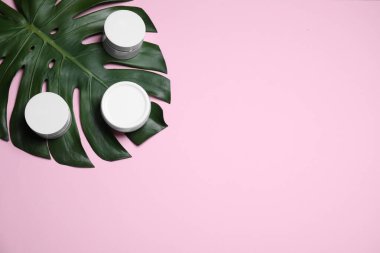 Pembe arka planda tropikal yaprak ve krema kavanozları. Metin için boşluk