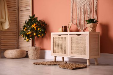 Mercan duvarının yanındaki ahşap tuvalet. İç tasarım