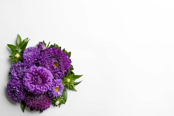 Mooie Asters Ruimte Voor Tekst Witte Achtergrond Bovenaanzicht Herfstbloemen — Stockfoto