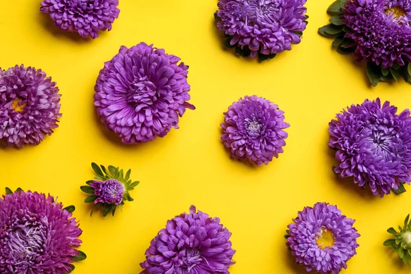 Gyönyörű Mesterek Sárga Háttérrel Lapos Fekvéssel Őszi Virágok — Stock Fotó