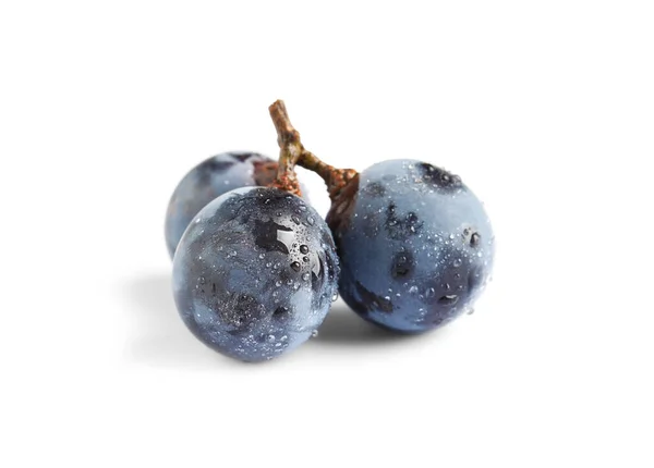 白色背景的美味成熟的深蓝色葡萄 — 图库照片