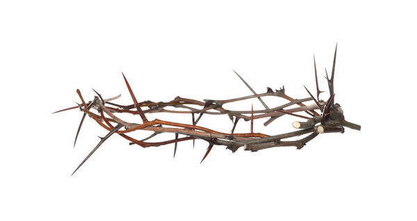 Crown of thorns isolated on white. Easter attribute