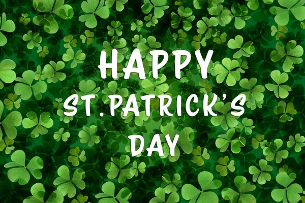 Happy Patrick Day Green Clover Leaves Background — Stock Photo, Image