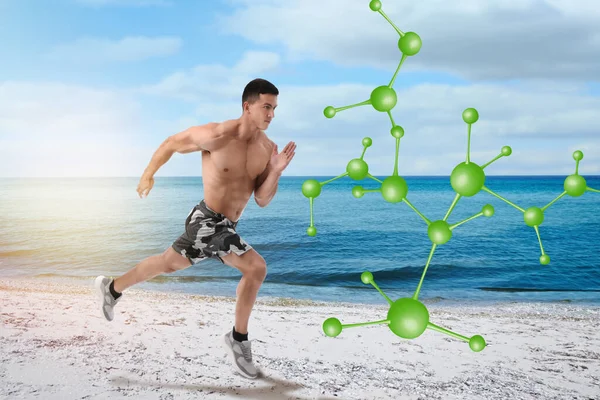 Metabolismus Molekulární Řetězec Ilustrace Atletický Mladý Muž Běží Blízkosti Moře — Stock fotografie