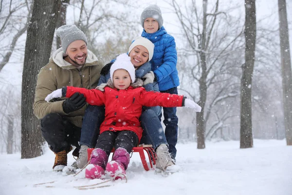 Ritratto Famiglia Felice All Aperto Nella Giornata Invernale Vacanze Natale — Foto Stock