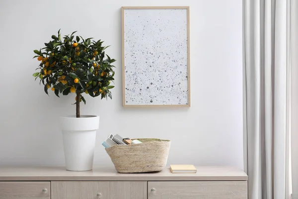 Árbol Kumquat Maceta Con Frutas Que Maduran Interior Diseño Interiores — Foto de Stock