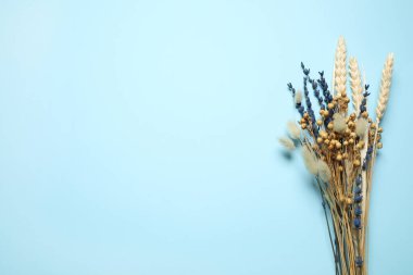 Açık mavi arka planda bir buket kurumuş çiçek, düz uzanmış. Metin için boşluk
