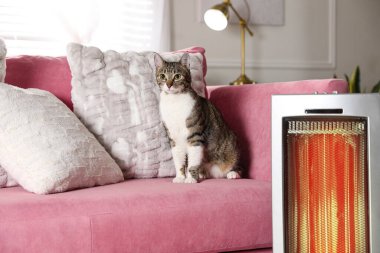 Modern elektrikli ısıtıcının yanındaki kanepede oturan sevimli kedi.