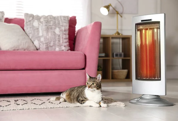 Roztomilý Kočka Podlaze Blízkosti Moderní Elektrické Ultrared Topení Uvnitř — Stock fotografie