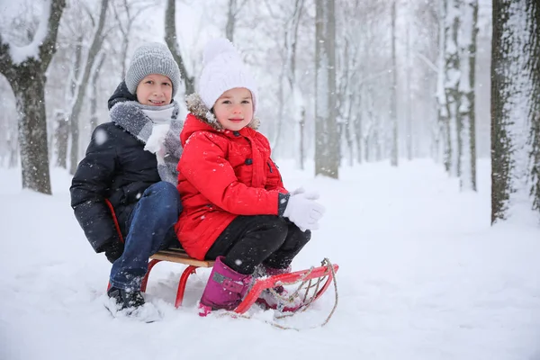 Симпатичні Маленькі Діти Насолоджуються Катанням Свіжому Повітрі Зимовий День Простір — стокове фото