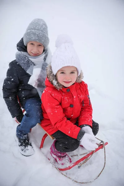 可爱的小孩坐在雪地公园的雪橇上 俯瞰天空 — 图库照片