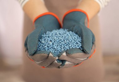 Woman holding pile of granular mineral fertilizer on light background, closeup clipart