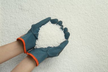 Tahıl üzerinde granüler mineral gübresi tutan kadın, üst görünüm.