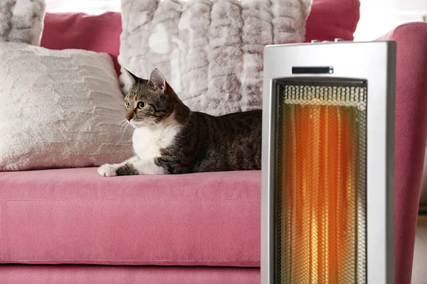 Gato Bonito Sofá Perto Aquecedor Ultravermelho Elétrico Moderno Dentro Casa — Fotografia de Stock