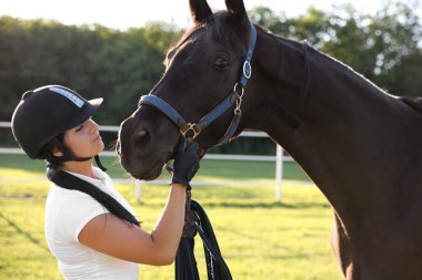 Ata binen genç bir kadın ve güneşli bir günde güzel evcil hayvanı.