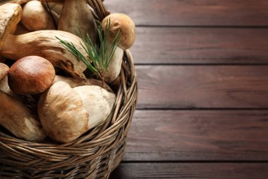 Fresh wild mushrooms in wicker basket on wooden table, closeup. Space for text