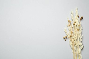 Açık gri arkaplanda bir buket kurumuş çiçek, düz bir zemin. Metin için boşluk