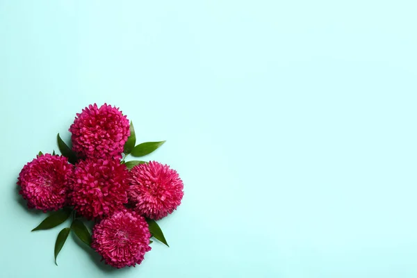 Mooie Asters Ruimte Voor Tekst Lichtblauwe Achtergrond Vlakke Lay Herfstbloemen — Stockfoto