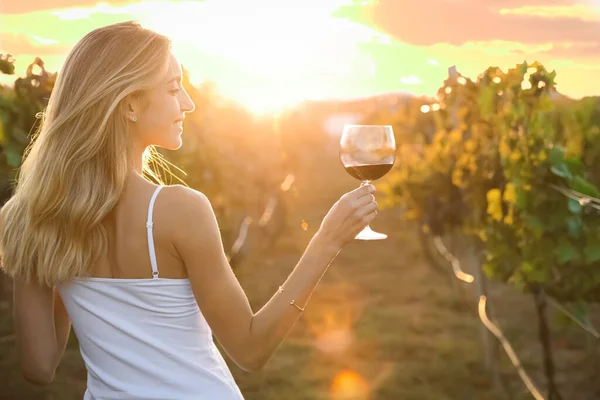 Young woman with glass of wine in vineyard on sunny day, back view