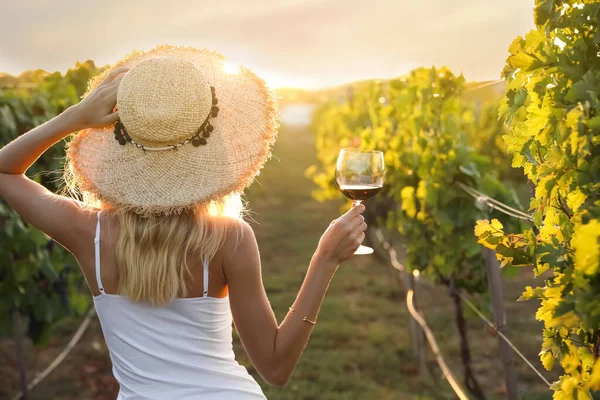 Young woman with glass of wine in vineyard on sunny day, back view