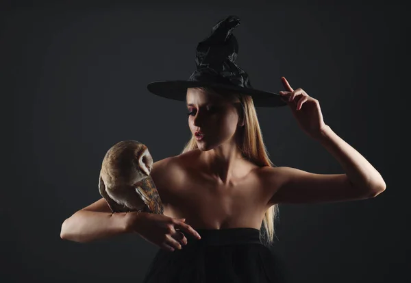 暗い背景にフクロウと黒の帽子で魔女 怖いファンタジーキャラクター — ストック写真
