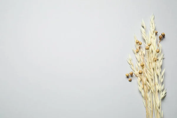 薄い灰色の背景に乾燥した花の花束 フラットレイアウト テキストのスペース — ストック写真