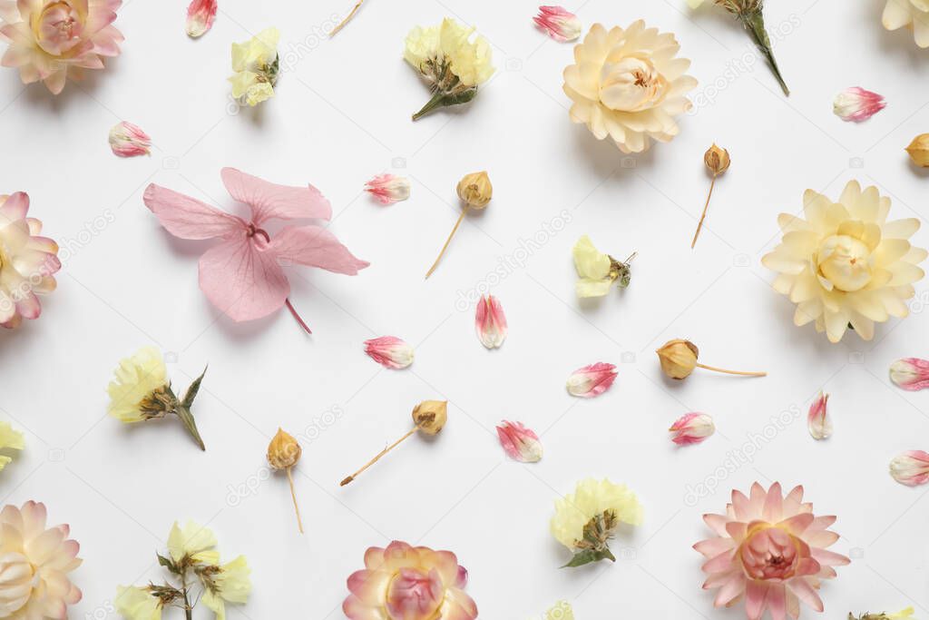 Beautiful fresh and dry flowers on white background, flat lay