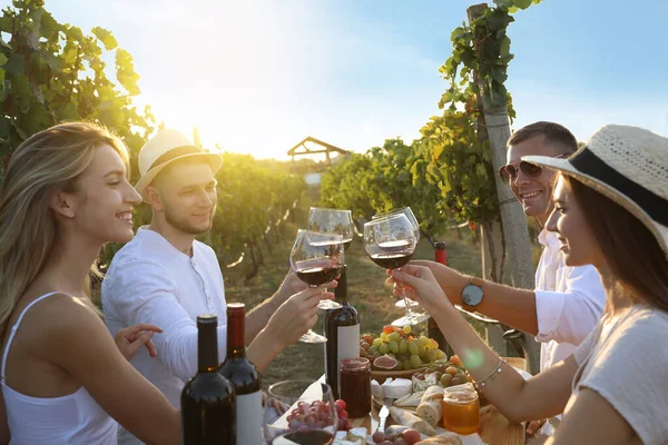 Vrienden Met Een Glas Wijn Plezier Wijngaard — Stockfoto