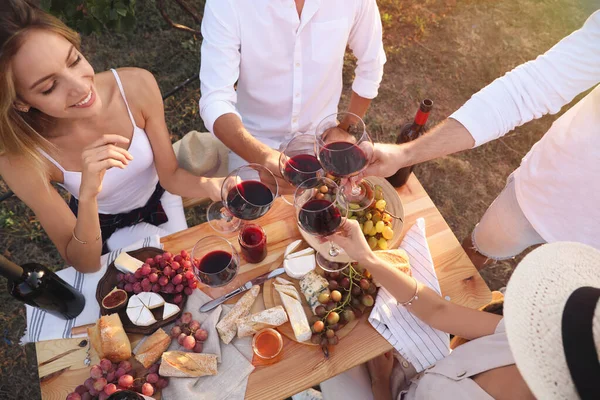 Arkadaşlar Şarap Kadehleri Tutuyor Üzüm Bağında Eğleniyorlar Yakın Plan — Stok fotoğraf