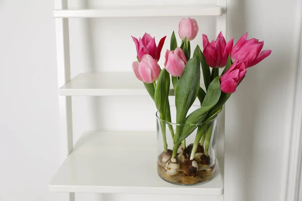 Tulipas Bonitas Com Lâmpadas Escada Decorativa Perto Parede Branca Espaço — Fotografia de Stock