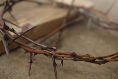 Yerdeki dikenli taç, yakın plan. Paskalya niteliği