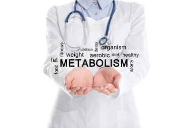 Metabolizma konsepti. Doktor beyaz arkaplanda şema sunuyor, yakın plan