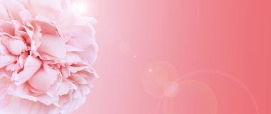 Renkli arka planda güzel çiçek, metin için boşluk. Çiçek kart tasarımı 